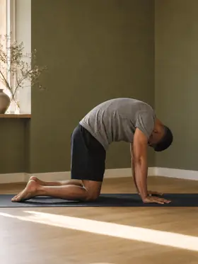 A man on his hands and knees on a mat, rounding his back upwards